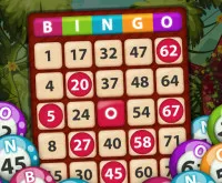 Bingo King