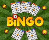 Play Bingo Revealer now!