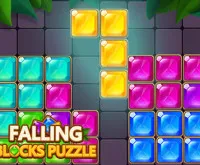Falling Blocks Puzzle