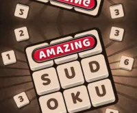Amazing Sudoku