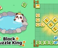 Block Puzzle King