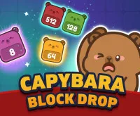 Capybara Block Drop