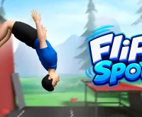 Flip Spot - free online game