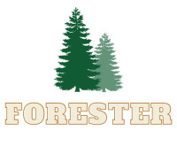 Play Forester now!
