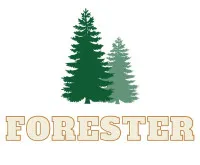 Play Forester now!
