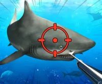 Hunter Underwater Spearfishing