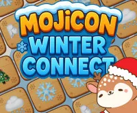 Mojicon Winter Connect