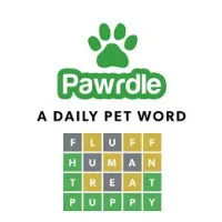 Pawrdle - free online game