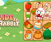 Slide Rabbit - free online game