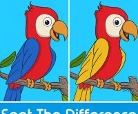 Spot the Difference
