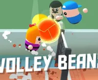 Volley Beans - Volleyball Game